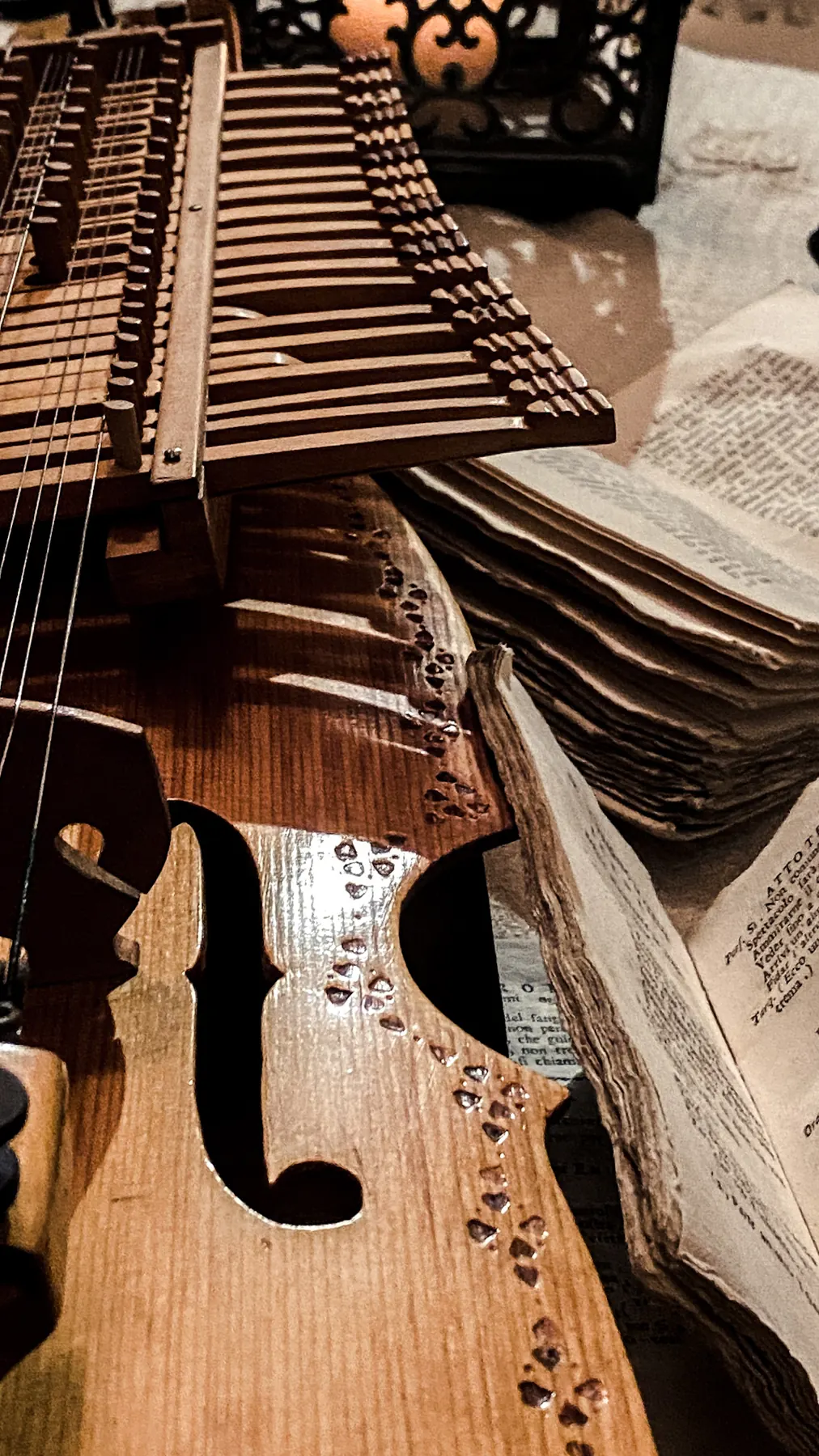 La tavola armonica di una nyckelharpa